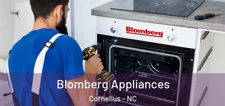  Blomberg Appliances Cornelius - NC