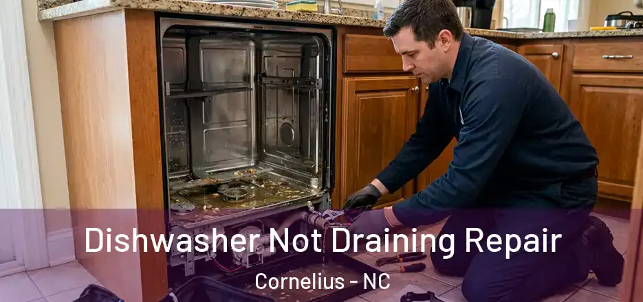  Dishwasher Not Draining Repair Cornelius - NC