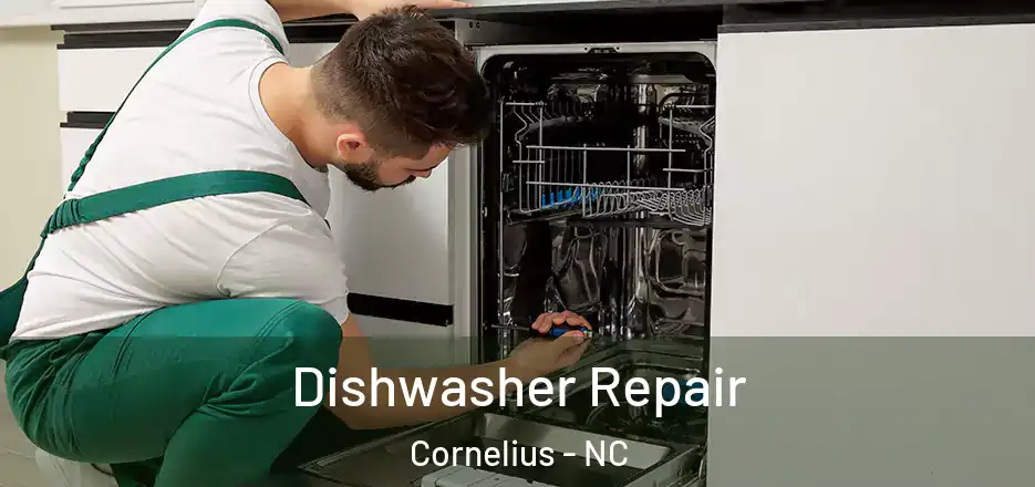  Dishwasher Repair Cornelius - NC