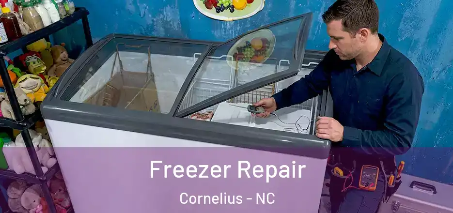  Freezer Repair Cornelius - NC