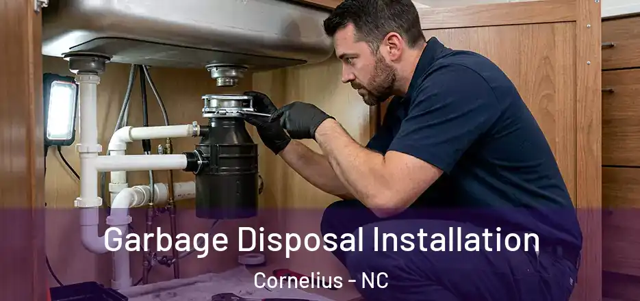 Garbage Disposal Installation Cornelius - NC