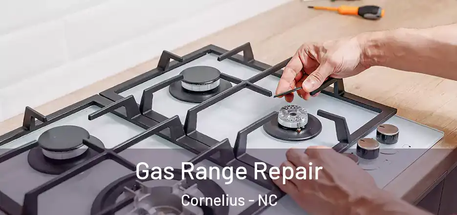  Gas Range Repair Cornelius - NC