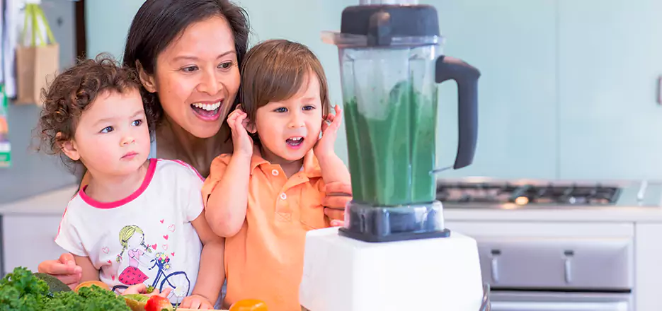 Juicer and Mixer Blender Repair in Cornelius 