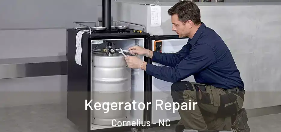  Kegerator Repair Cornelius - NC