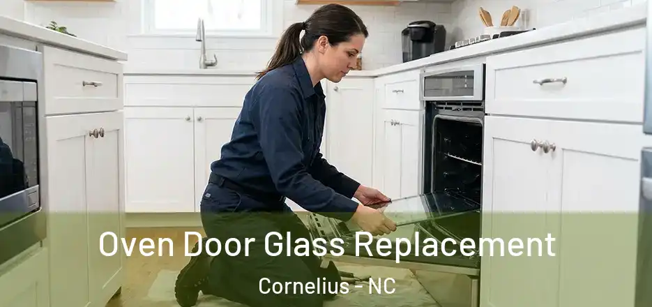  Oven Door Glass Replacement Cornelius - NC