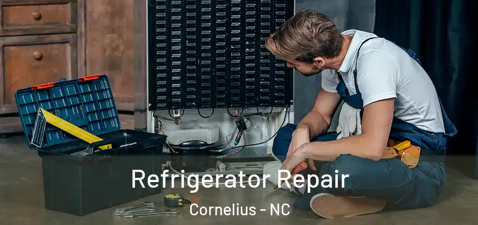  Refrigerator Repair Cornelius - NC
