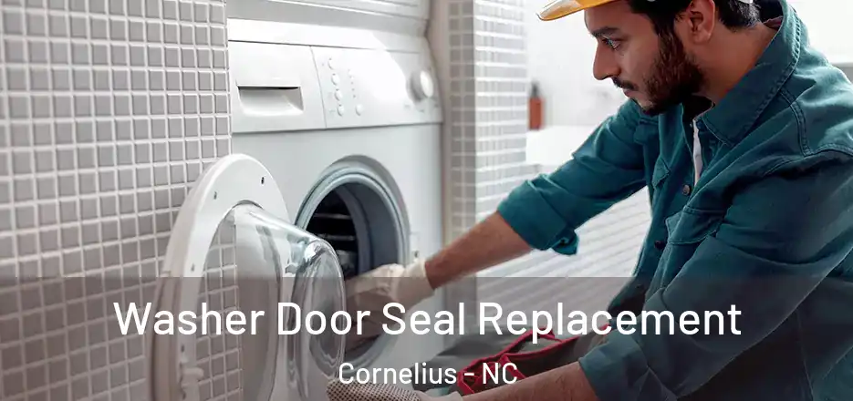 Washer Door Seal Replacement Cornelius - NC