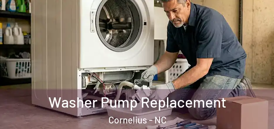  Washer Pump Replacement Cornelius - NC
