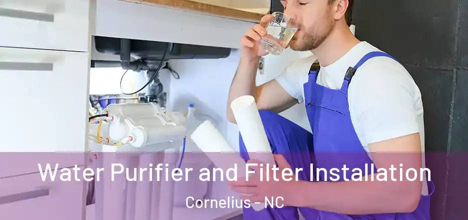  Water Purifier and Filter Installation Cornelius - NC